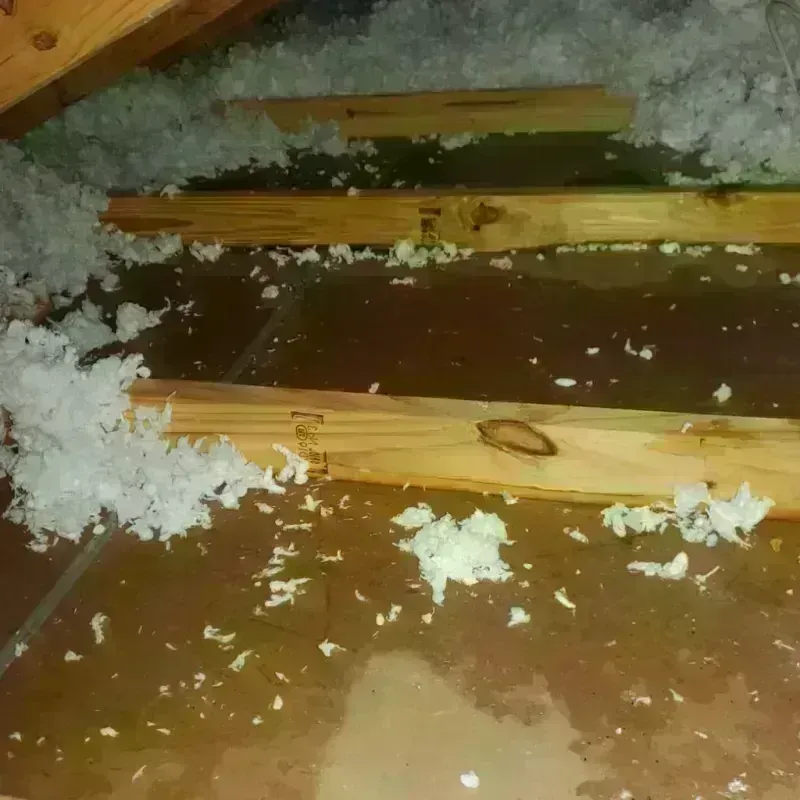 Attic Water Damage in North Branford, CT